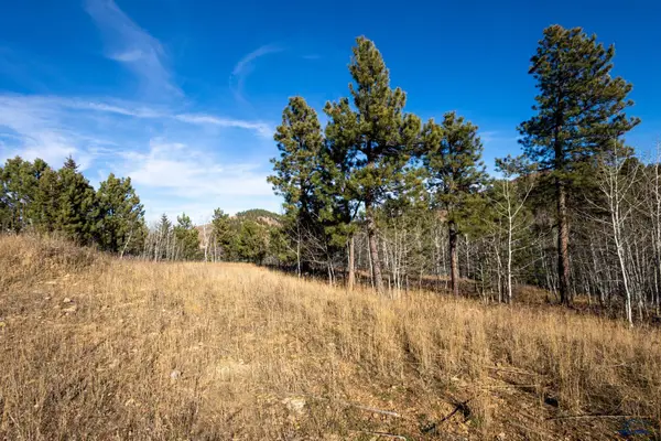 Lots 45 & 46 Noble Grand Ct, Sturgis, SD 57785