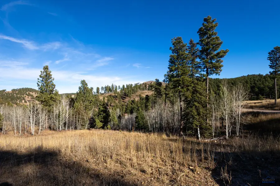 Lot 43 Noble Grand Ct, Sturgis, SD 57785 - Image #3