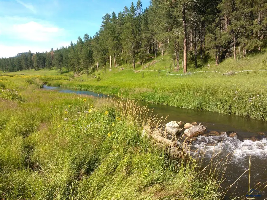 12726 Nemo Rd, Nemo, SD 57759 - Image #2