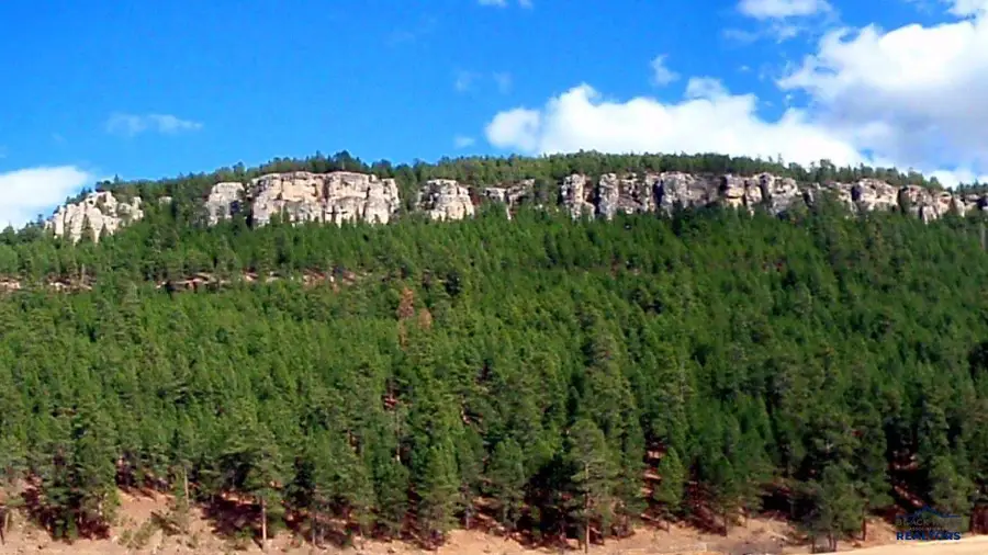 12726 Nemo Rd, Nemo, SD 57759 - Image #3