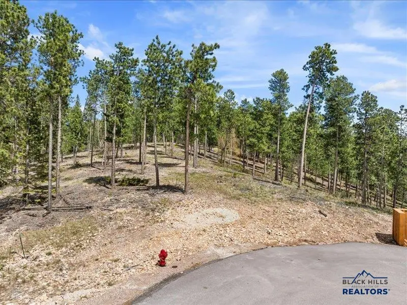 11315 Overlook Ct, Lead, SD 57754 - Image #2