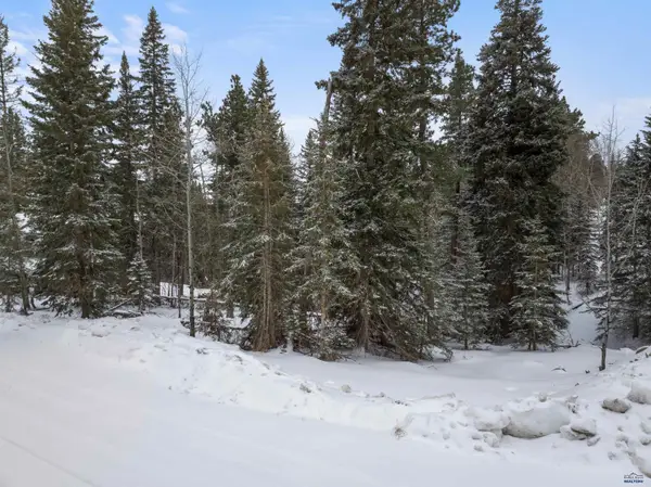 11019 Antelope Tr, Lead, SD 57754