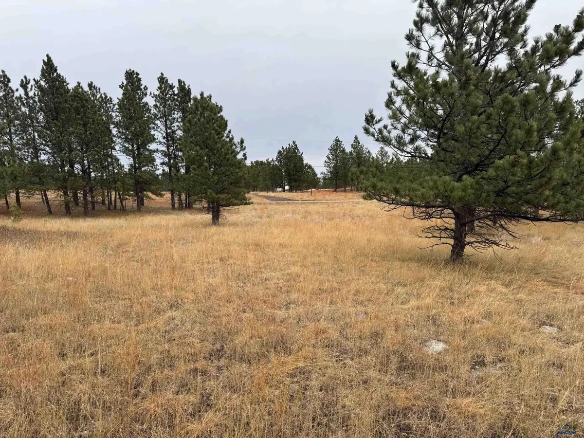 TBD Lincoln Tarken Ln, Piedmont, SD 57769 - Image #1