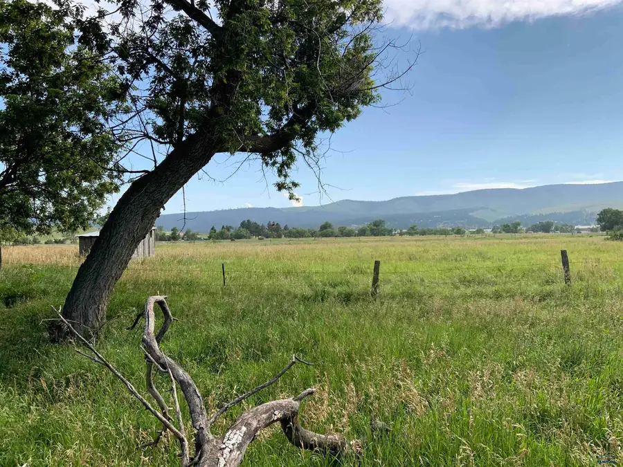 21746 Sidney Stage Rd, Piedmont, SD 57769 - Image #3