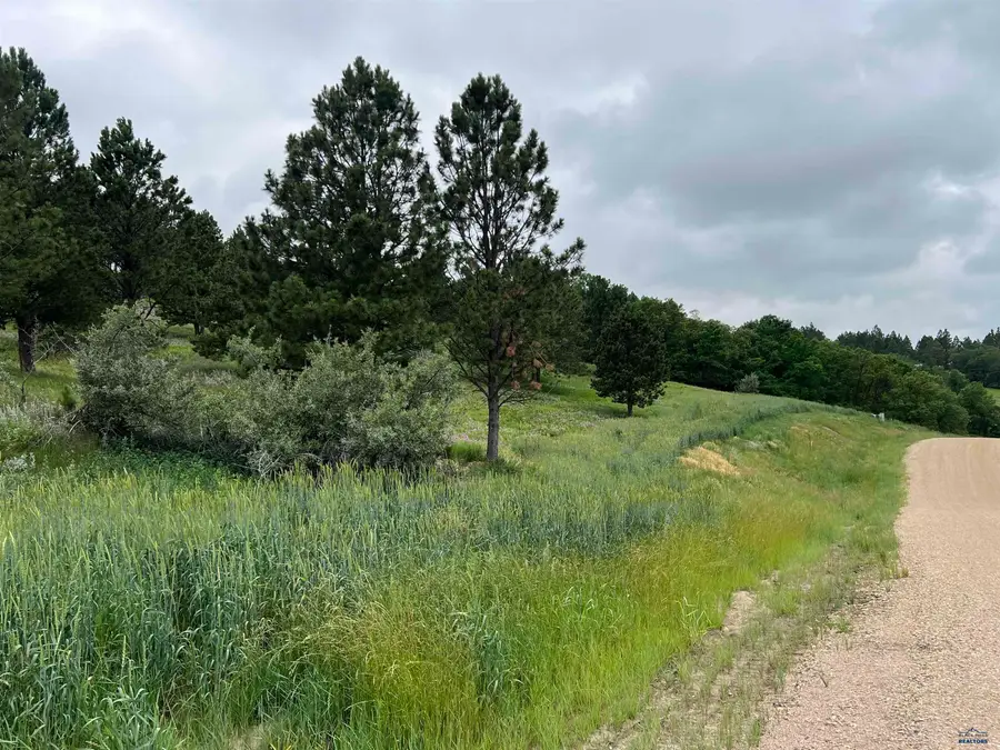 Lot 30 Summit Pass, Whitewood, SD 57793 - #2