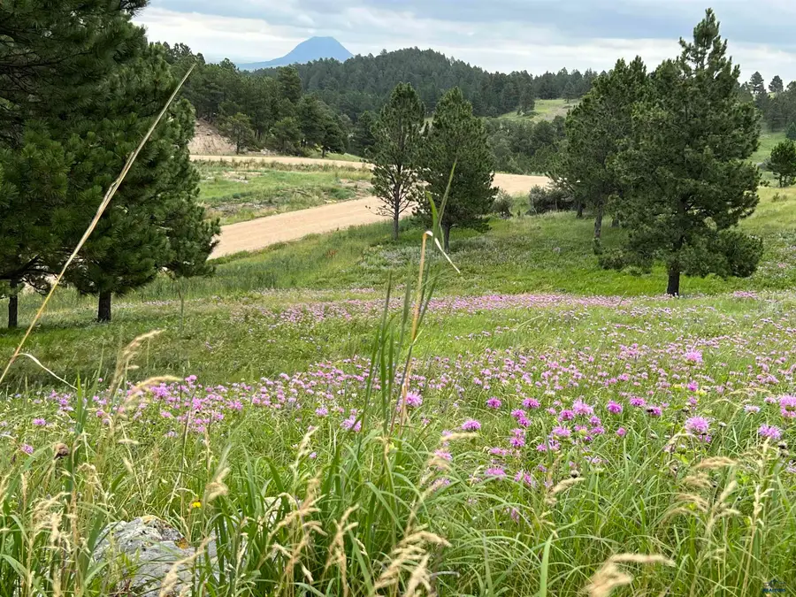 Lot 30 Summit Pass, Whitewood, SD 57793 - #3