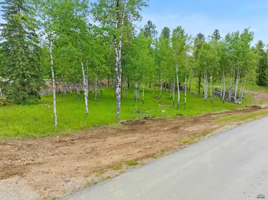 Lot 12 Block 4 Other, Lead, SD 57754 - #2