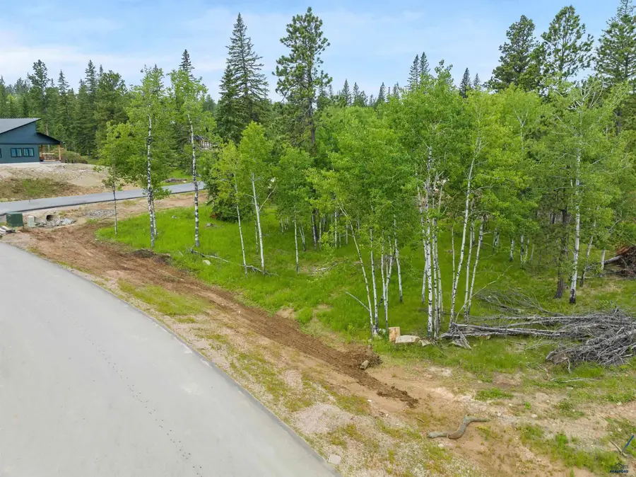 Lot 12 Block 4 Other, Lead, SD 57754 - #3