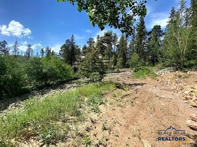 Lot 24 Other, Lead, SD 57754 - Image #3