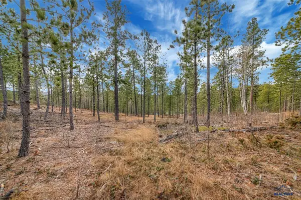 TBD Lofty Pines Ct, Lead, SD 57754