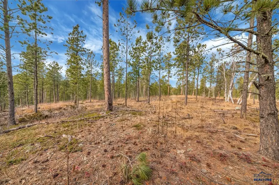 TBD Lofty Pines Ct, Lead, SD 57754 - Image #3