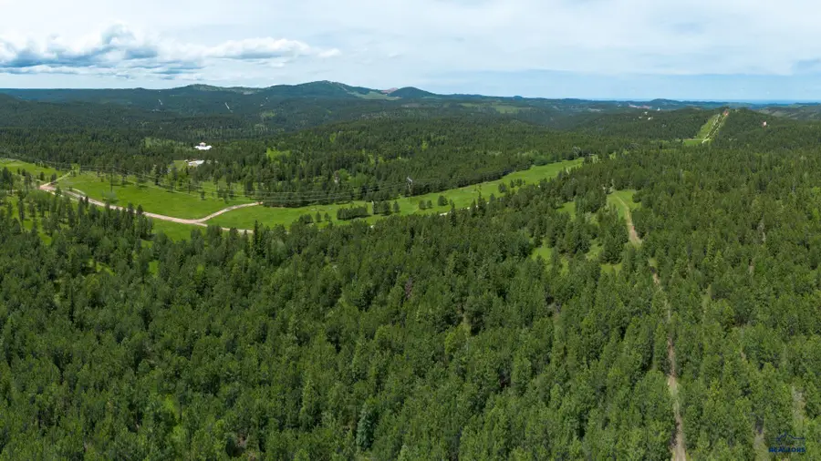 231.68 Acres White Forest Rd, Lead, SD 57754 - Image #3
