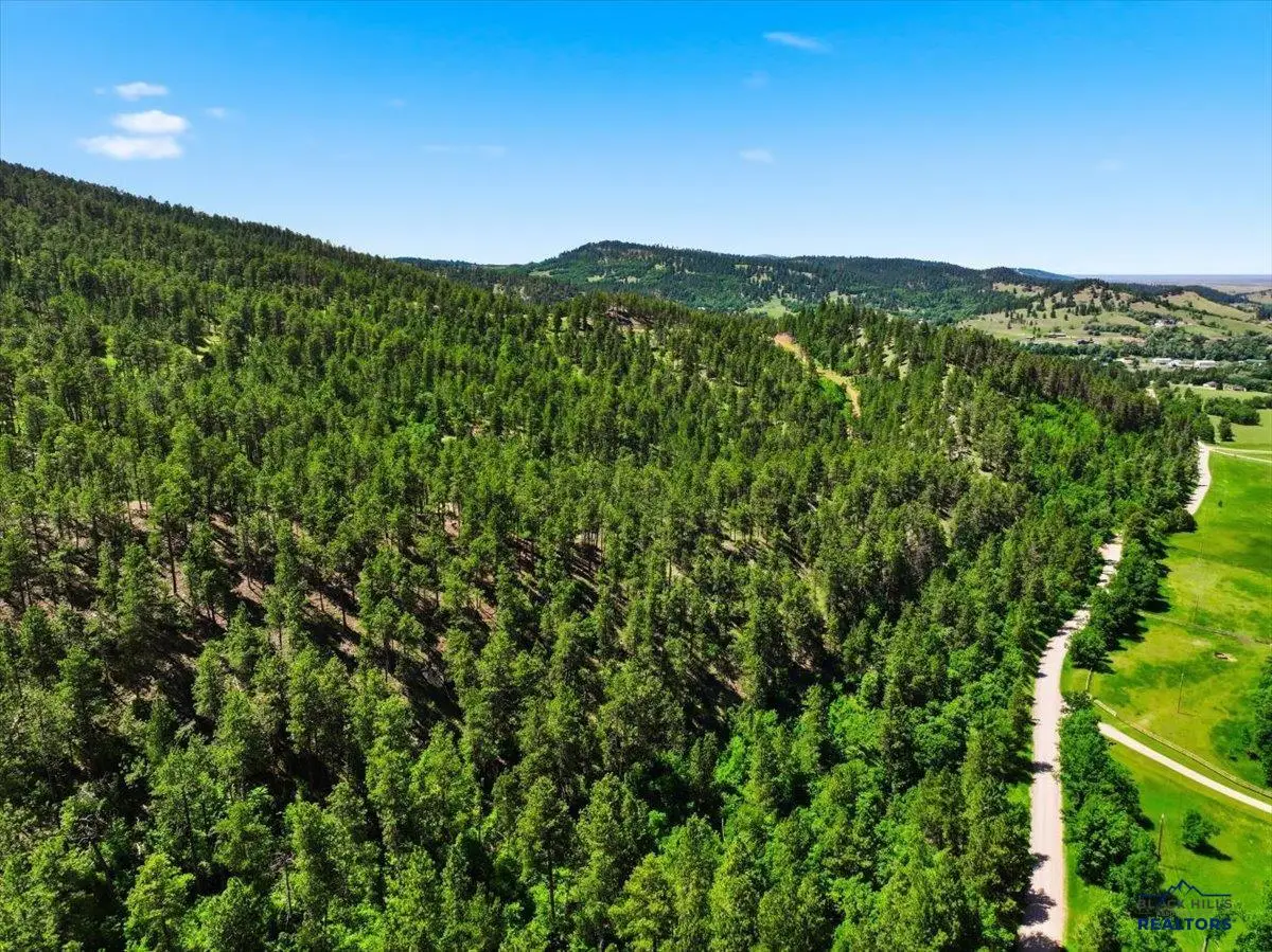 80.1 +/- Acres Crook Mountain Rd, Whitewood, SD 57793 - #1