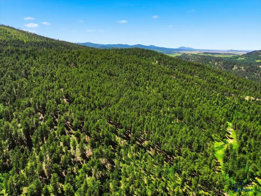 80.1 +/- Acres Crook Mountain Rd, Whitewood, SD 57793 - #3