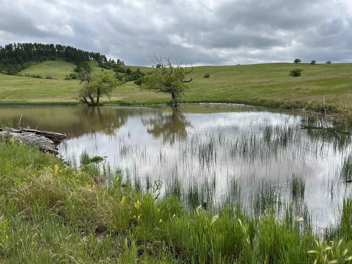 TBD Other, Whitewood, SD 57793 - #1