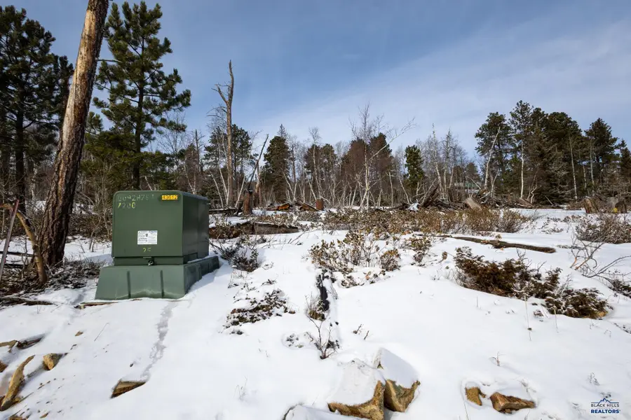 21163 Turkey Trail, Lead, SD 57754 - #3