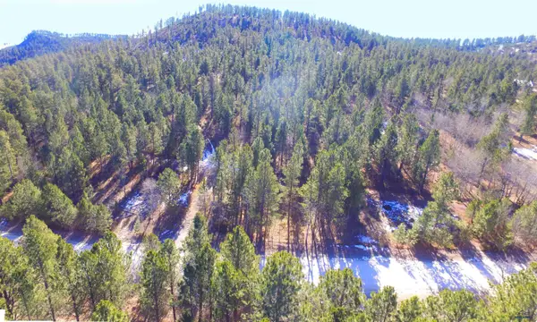 TBD Elliot Rd, custer, SD 57730-1111