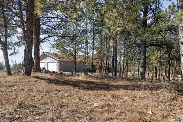 11981 Mountain Lion Ln, Hot Springs, SD 57747