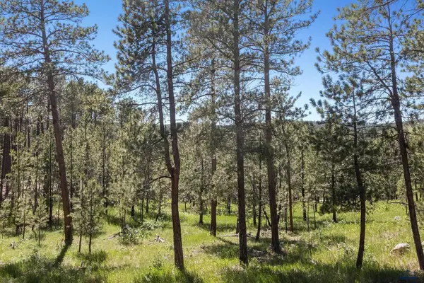 TBD Paradise Ln, Rapid City, SD 57702