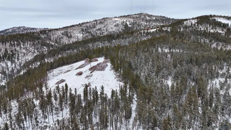 Lot 193 Deer Mountain, Lead, SD 57754-0000 - #2
