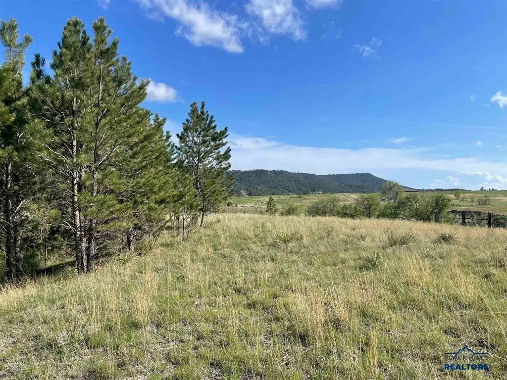 Lot 15A Other, Hot Springs, SD 57747 - #1