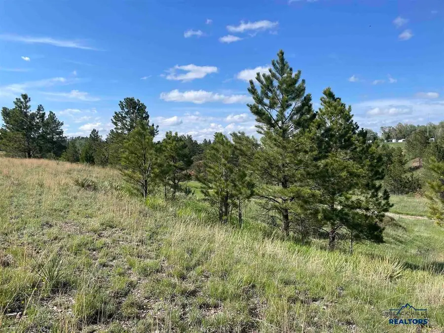 Lot 15A Other, Hot Springs, SD 57747 - #3