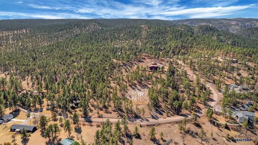 12767 Mohawk Dr, Piedmont, SD 57769 - #2