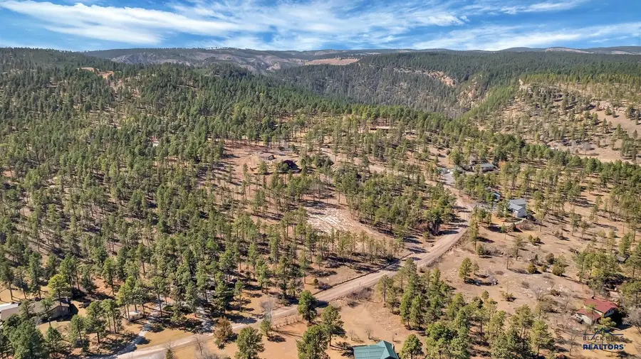 12767 Mohawk Dr, Piedmont, SD 57769 - #3