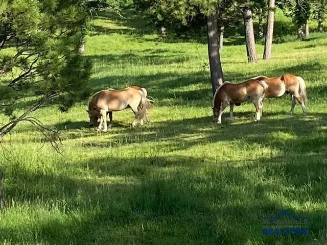 20842 Legacy, Sturgis, SD 57785 - #3