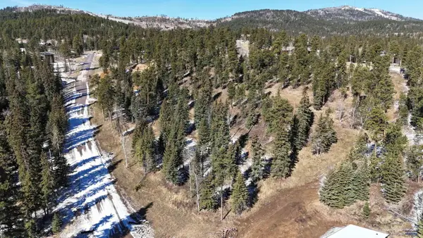 Lot 29 Block 5 Trailside Add, Lead, SD 57754-0000