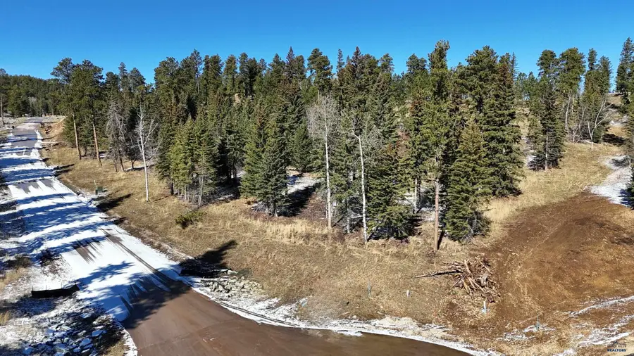Lot 29 Block 5 Trailside Add, Lead, SD 57754-0000 - #3