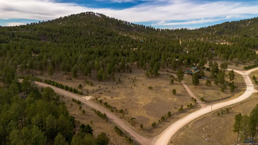 25031 Cedar Berry Trl, Custer, SD 57730 - #3