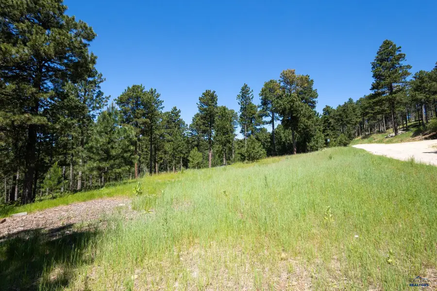 Lot 16 Other, Deadwood, SD 57732 - #3
