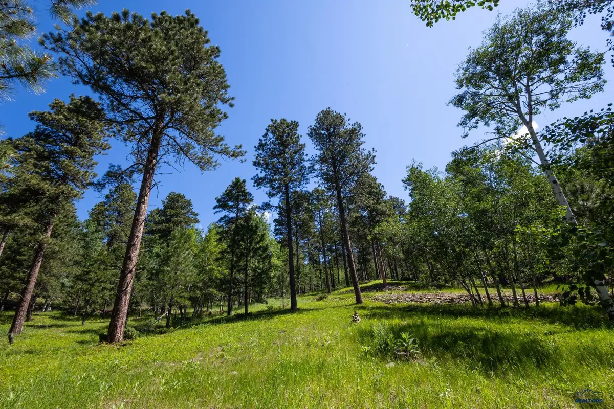 Lot 18 Other, Deadwood, SD 57732 - #1