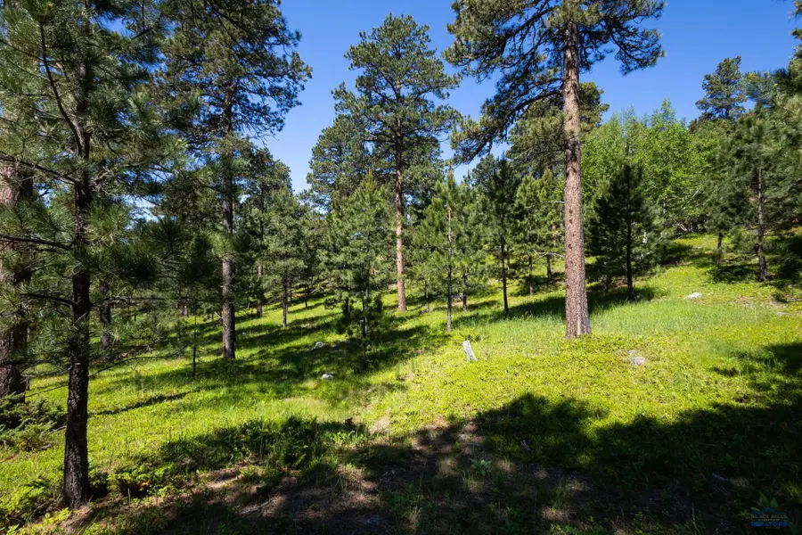 Lot 18 Other, Deadwood, SD 57732 - #2