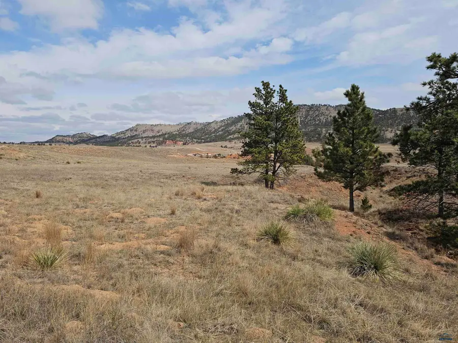 Lot 3B Other, Hot Springs, SD 57747 - #2