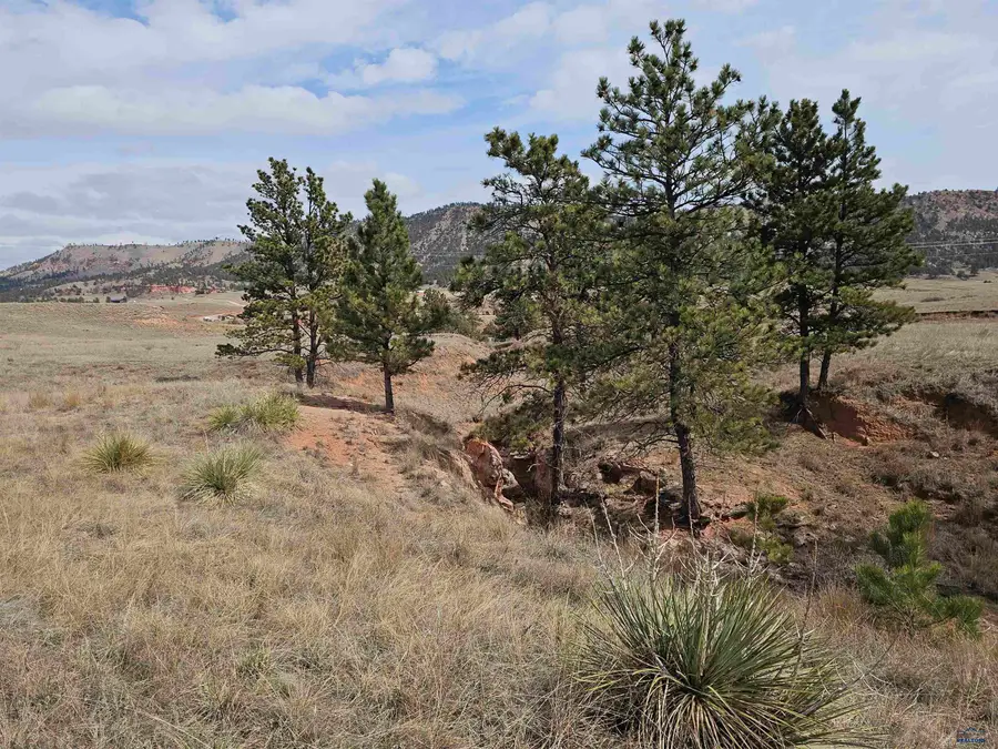 Lot 3B Other, Hot Springs, SD 57747 - #3