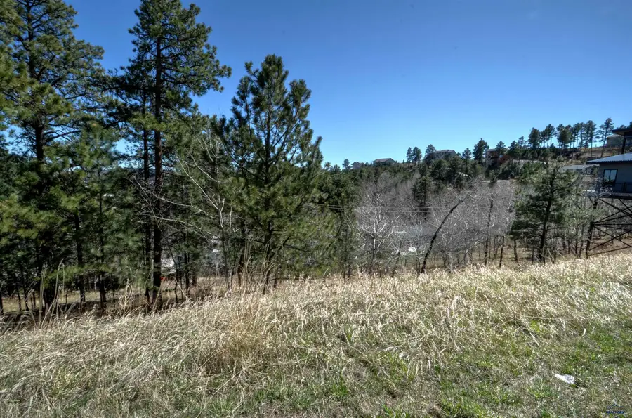 TBD Mountain View Dr, Lead, SD 57754 - #3