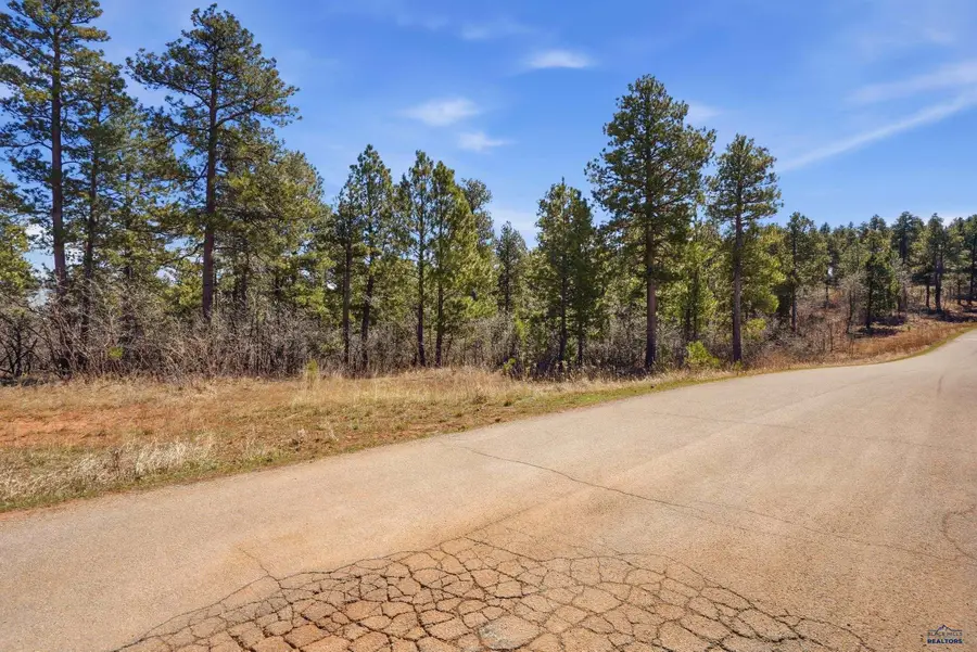 20340 Robin Pl, Spearfish, SD 57783 - #3