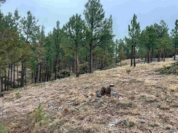 11562 Red Canyon Rd, Custer, SD 57730