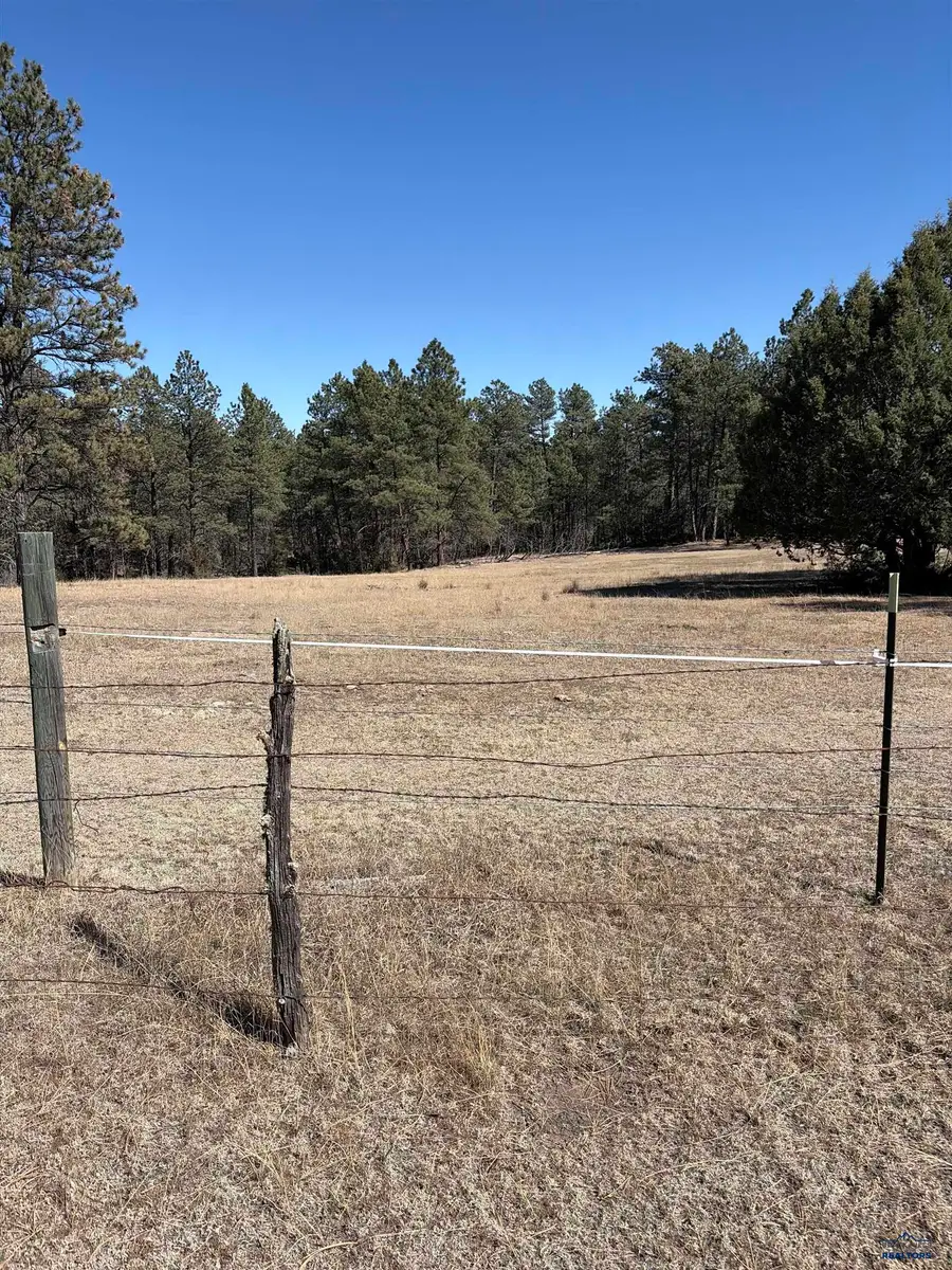 11562 Red Canyon Rd, West Custer, SD 57730 - #3
