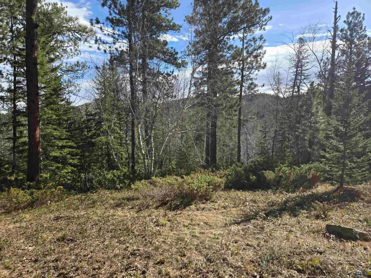 TBD Other, Lead, SD 57754 - #1