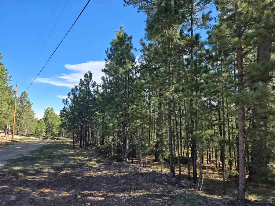 TBD Other, Lead, SD 57754 - #2