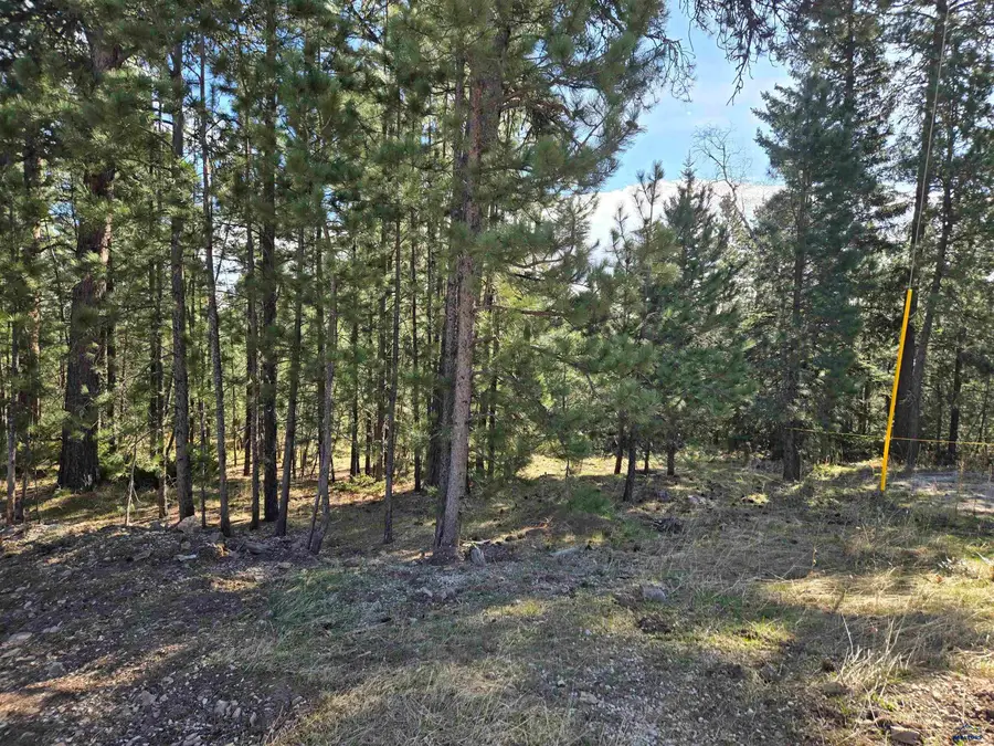 TBD Other, Lead, SD 57754 - #3