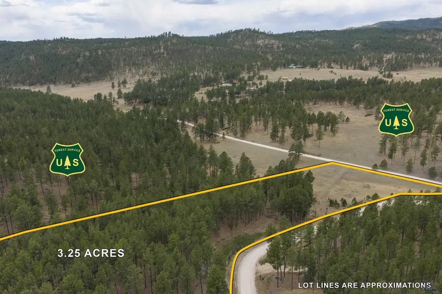 Lot 7 Caledonia Trl, Custer, SD 57730 - #3