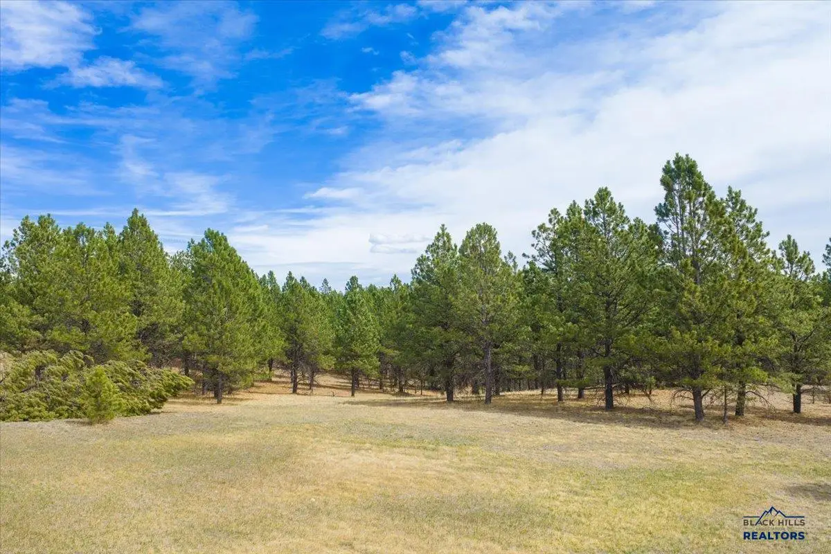 TBD W Argyle Rd, Custer, SD 57730 - #1