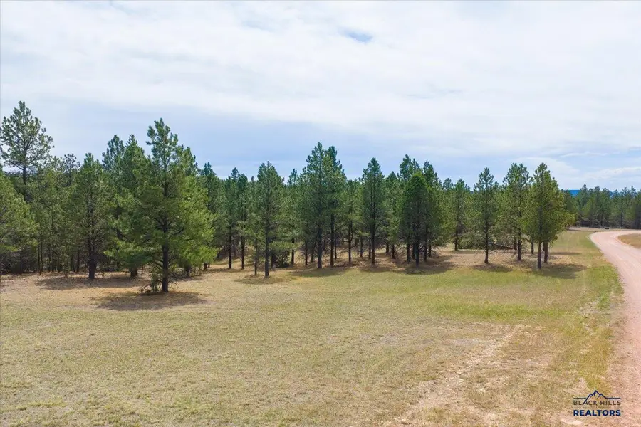 TBD W Argyle Rd, Custer, SD 57730 - #2