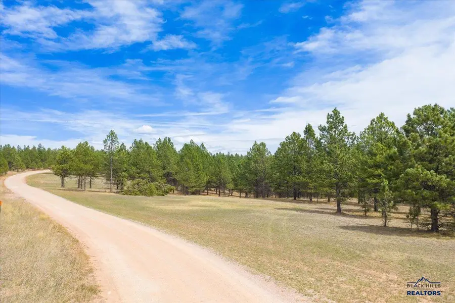 TBD W Argyle Rd, Custer, SD 57730 - #3