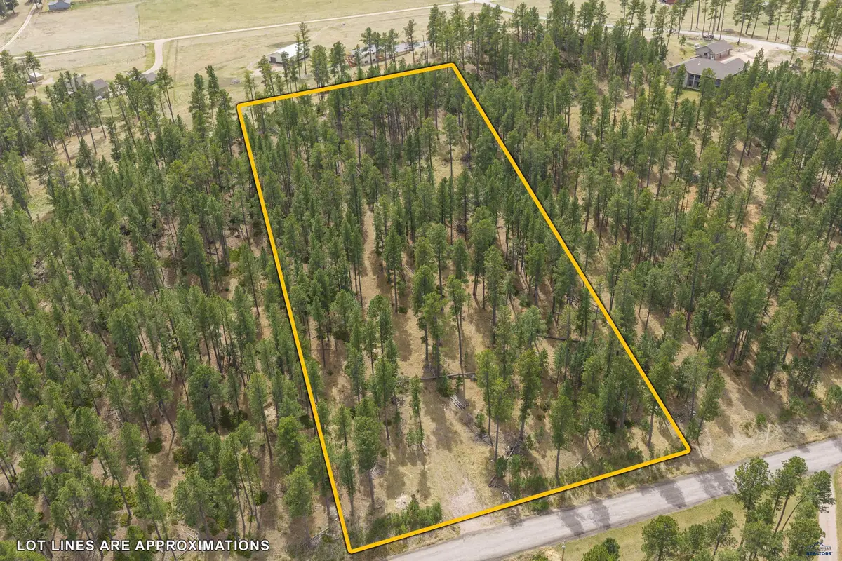 22580 Hazel Ln, Rapid City, SD 57702 - #1