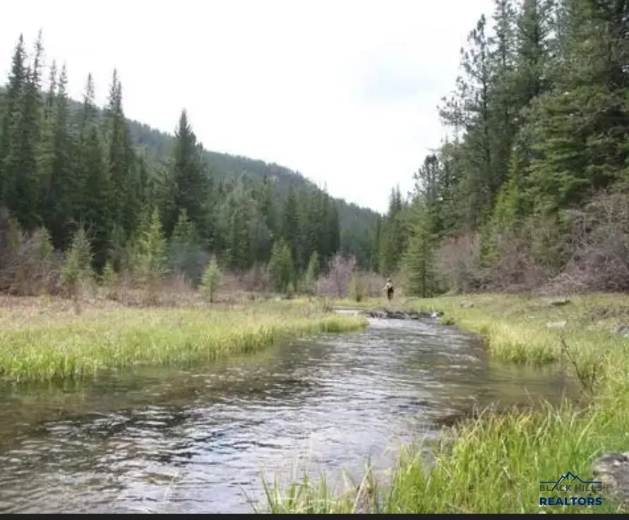 21155 Coyote Ln, Lead, SD 57754 - #3